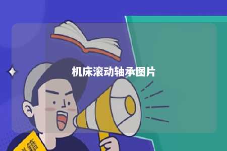 机床滚动轴承图片 